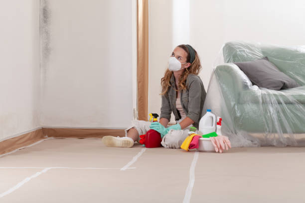 Reliable Mold Remediation contractor in Elgin, TX by WQB Mold Removal